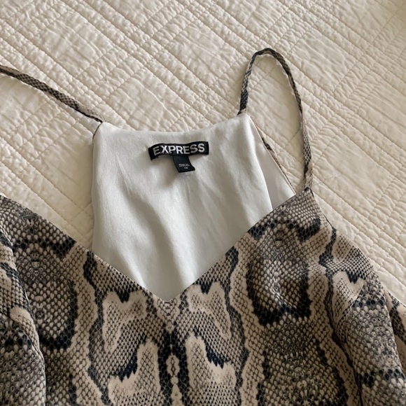 Express - Picture 3 of 3